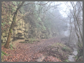 the dingle broseley